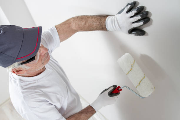 Best Residential Painting Experts  in Skyline, AL