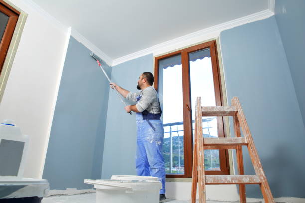 Best Fire-Damaged Drywall Repair  in Skyline, AL