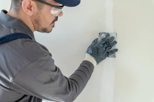 Best Commercial Drywall Repair  in Skyline, AL