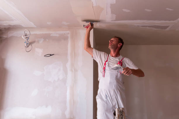 Best Drywall Crack Repair  in Skyline, AL